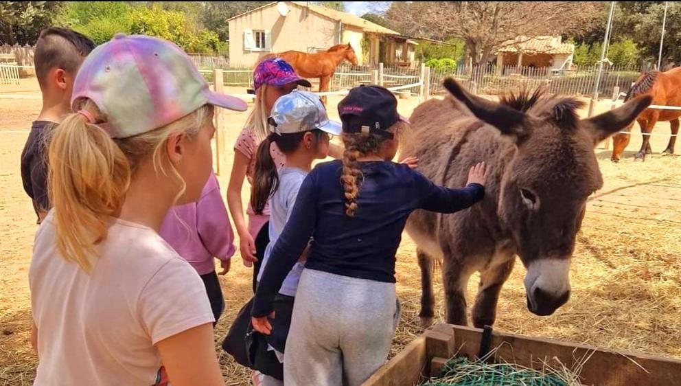 Вилла Sejour A La Ferme Jouques Экстерьер фото